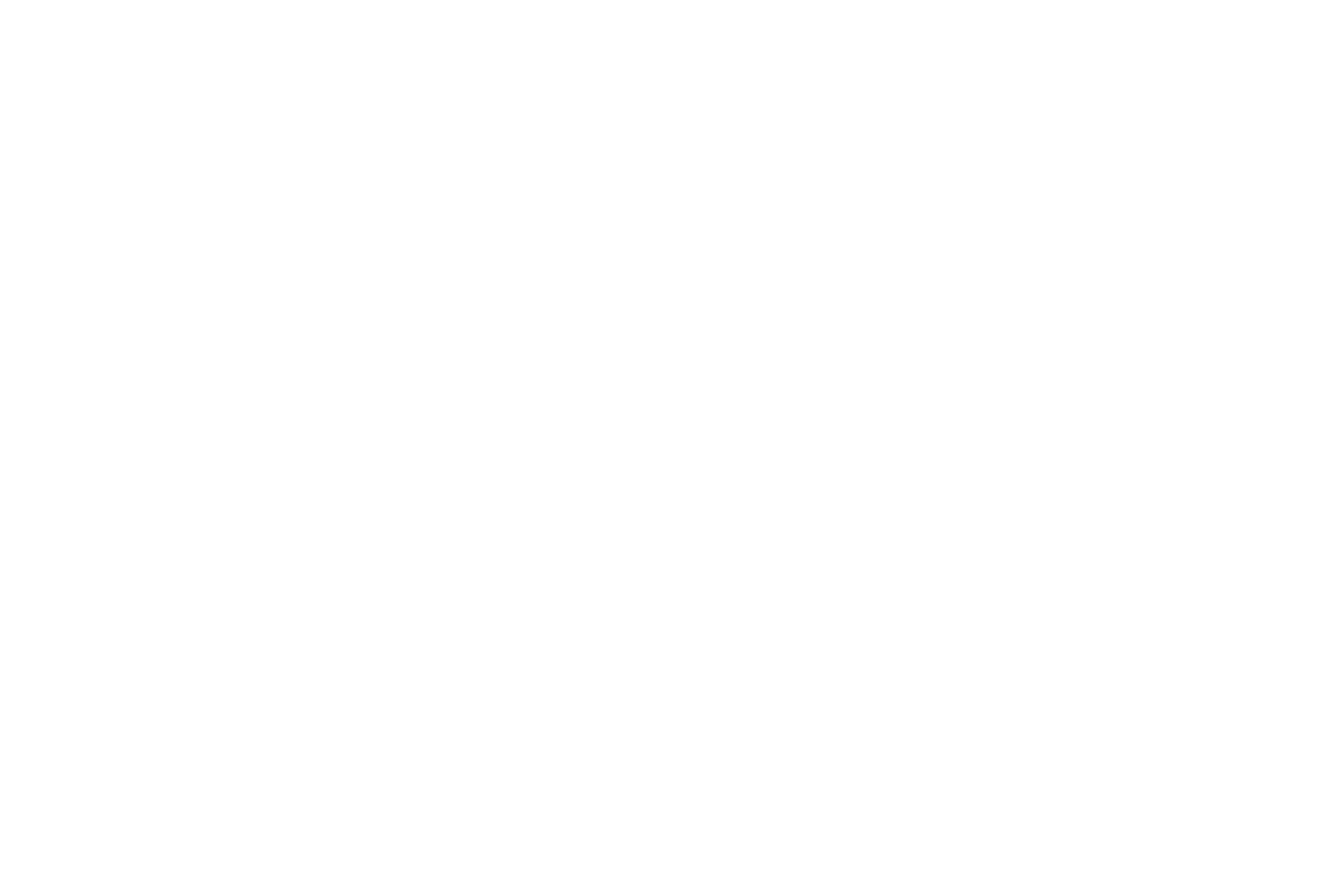 Dixie Moto Co