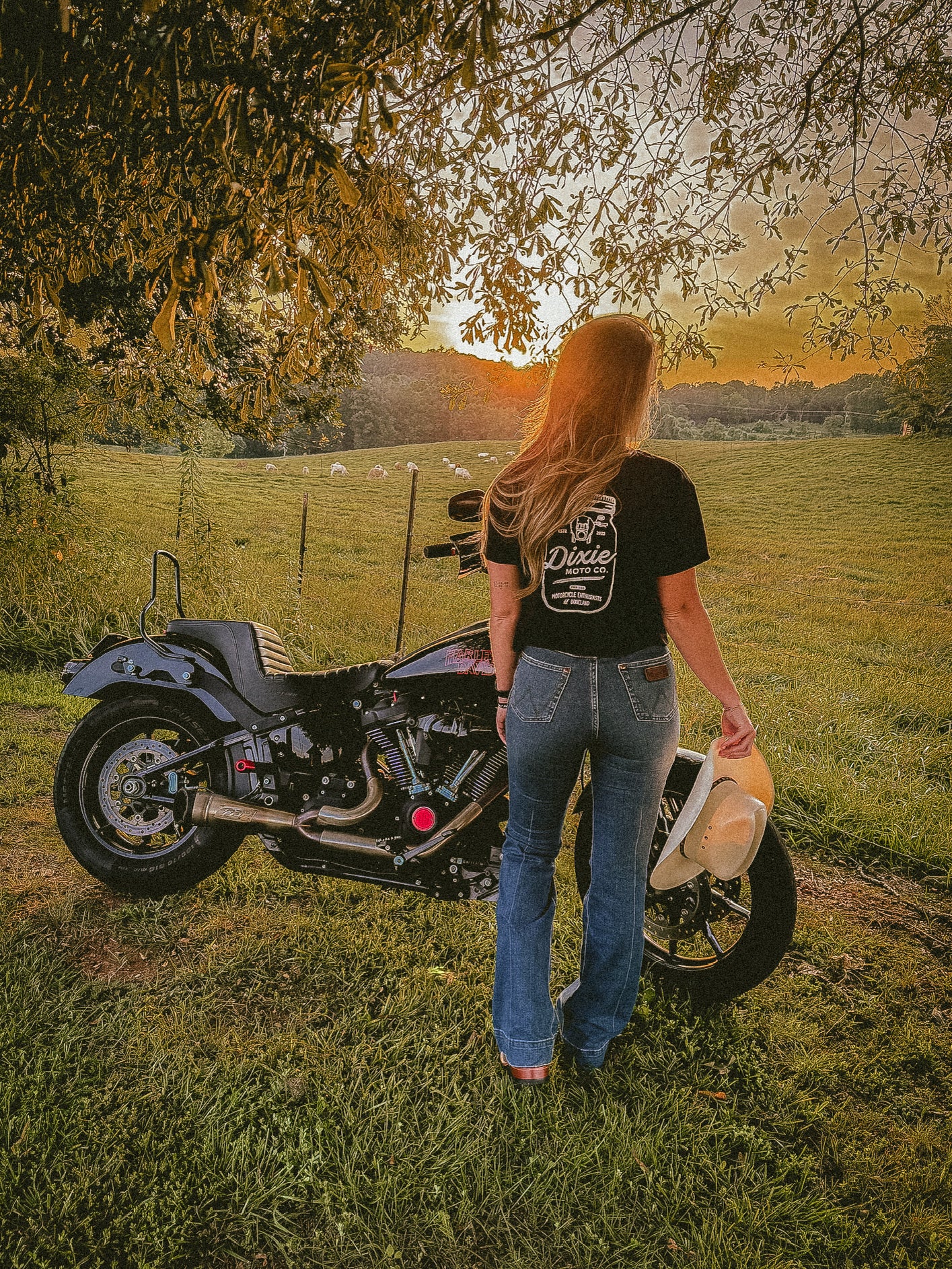 Dixie Women's Crop Top
